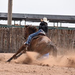 Meet your Posher, Cheyenne